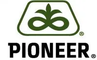 Семена подсолнечника Пионер ПР63А86 / PR63A86 RM 38