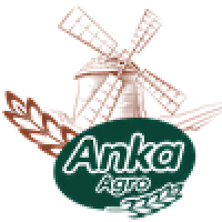 ТОО "ANKA GROUP" logo