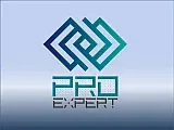 Компания Proexpert логотип