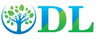 DL Шымкент logo