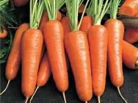 Семена моркови Шантенэ 2 Комет