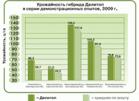 Семена кукурузы Делитоп