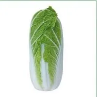 Капуста пекинская KS 374 F1 (2500 cемян) Kitano Seeds