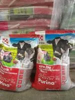 Корма, добавки для овец, коз, ягнят Purina