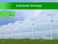 Промышленные блочные теплицы