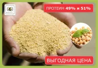 Шрот соевый (протеин на АСВ 48-49%) со склада